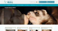Desktop Screenshot of hvmolins.com