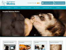 Tablet Screenshot of hvmolins.com